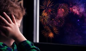 La Ciudad avanza en la prohibición de la pirotecnia sonora para resguardar a las personas, los animales y el entorno.